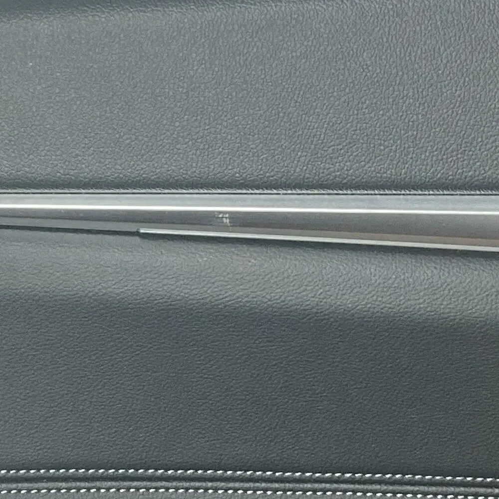 BMW I4 DOOR PANEL LEFT REAR 2023 OEM